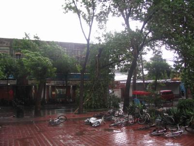wind and rain.jpg