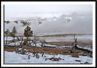 Yellowstone's Stark Landscape