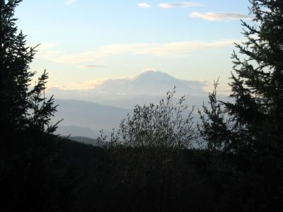 Mt. Rainier from T2