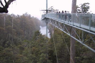The Airwalk at Tahune Forest south west of Hobart.