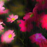 150 Playing with flowers.