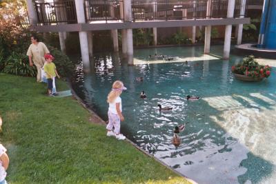 Nanis, just look at the duckies... DON'T jump. Ok, Honey?