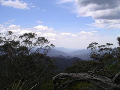 THE VIEW_New_England_NP.JPG