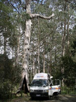 Wilderness_camping_New_England_NP.JPG