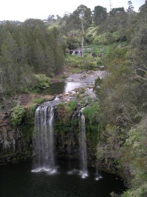 Dangar_Falls_Dorrigo_NP.JPG