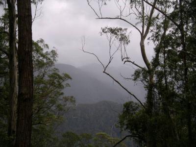 new_england_and_dorrigo_np