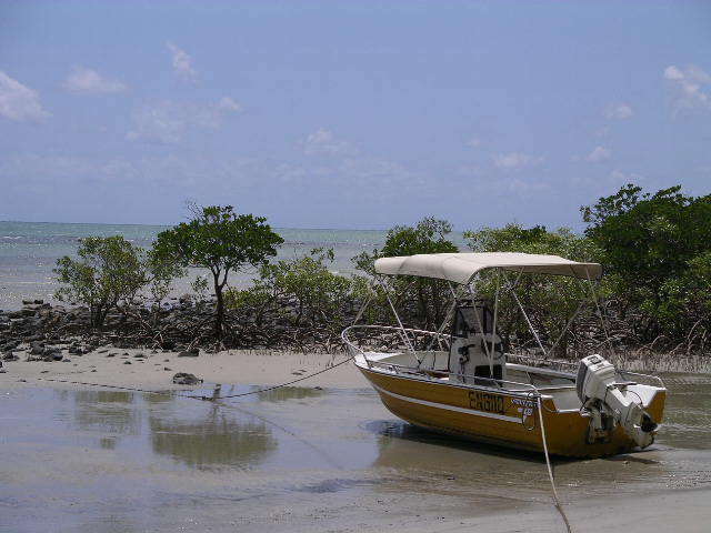 Cape Trib Beach.JPG