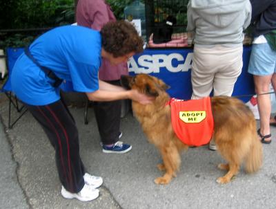 ASPCA  Adopt a Pet Program