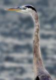 Stretch