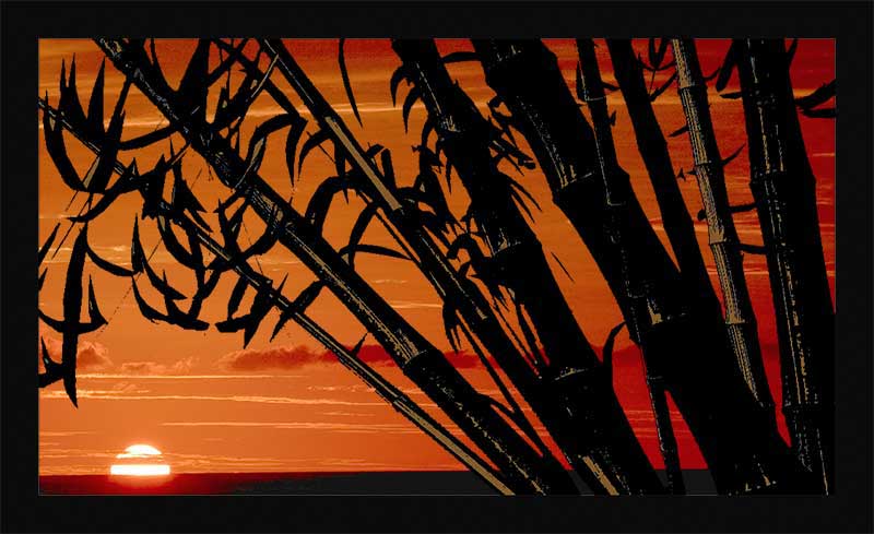 Tropical Dawn
