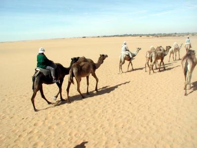Kamelritt durch die Lybische Wste