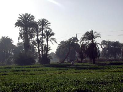 Auf dem Weg nach Edfu