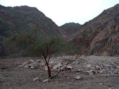 Fahrt durch das Sinai-Gebirge nach Dahab