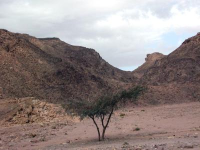 Sinai Gebirge