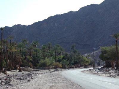 Sinai Gebirge und Oase