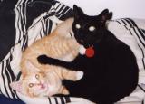 Raven & Janis (RIP) 2002-2003 & 1993-2003