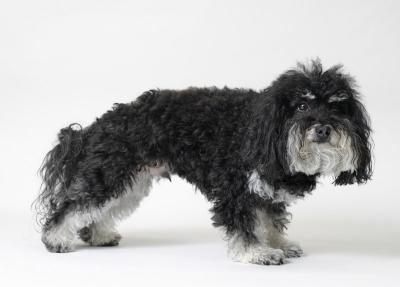 VERY Reluctant Model