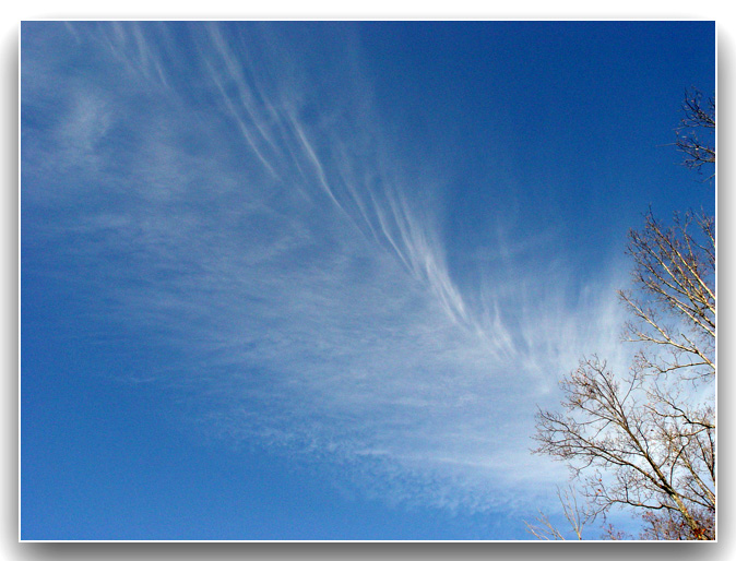 Feather in the Sky