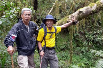 The climb: Marangu Route