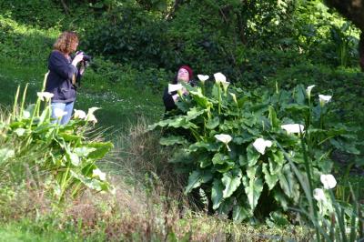 Jeanne and Cheryl among the Lilies