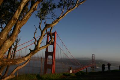 Nature made and Man made
