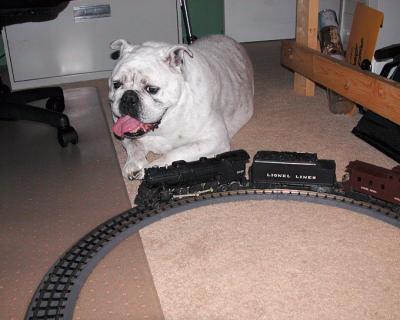 Izzy-and-train.jpg