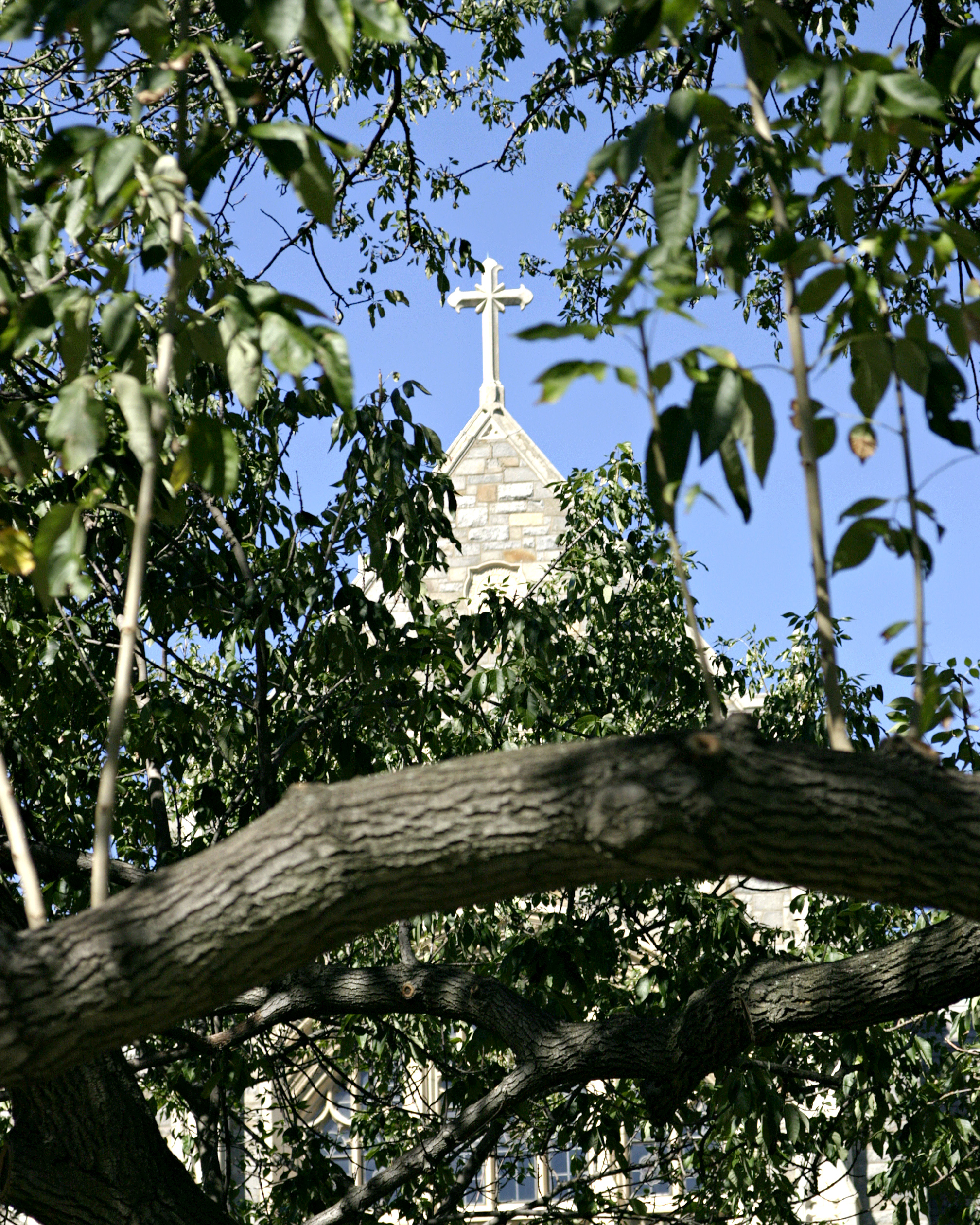 Through the trees--Georgetown University