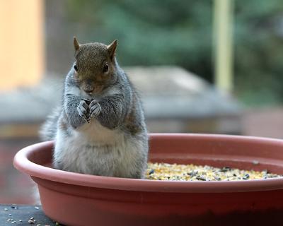 CRW_0433.jpg