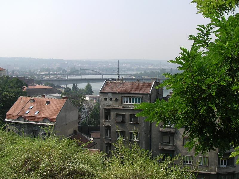 belgrade POTD at AzColts