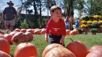 Ben in the pumpkin patch (Norfolk, VA)