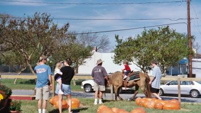 Ben riding the pony in the pumpkin patch (Norfolk, VA)