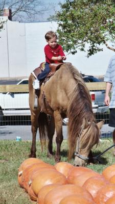 Ben riding the pony in the pumpkin patch (Norfolk, VA)