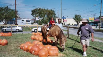 Ben riding the pony in the pumpkin patch (Norfolk, VA)
