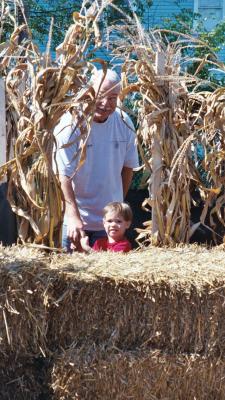 Grandpa and Ben lost in the corn maze (Norfolk, VA)