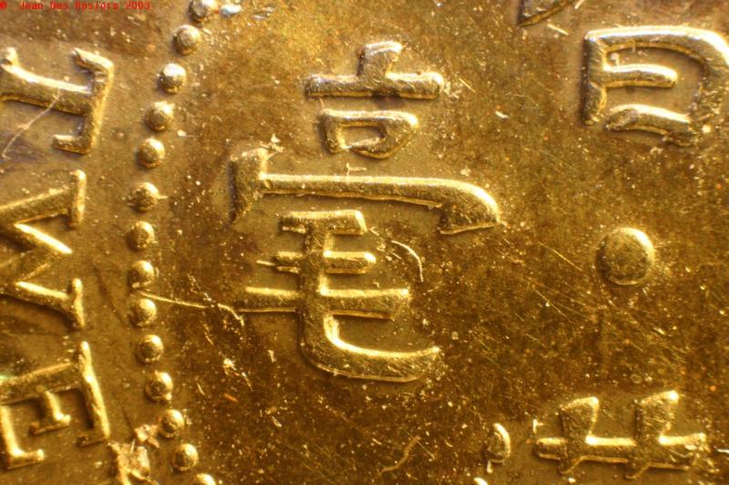 Hong Kong coin