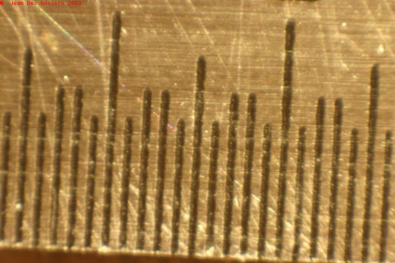 Steel ruler