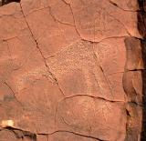 d0804.jpg