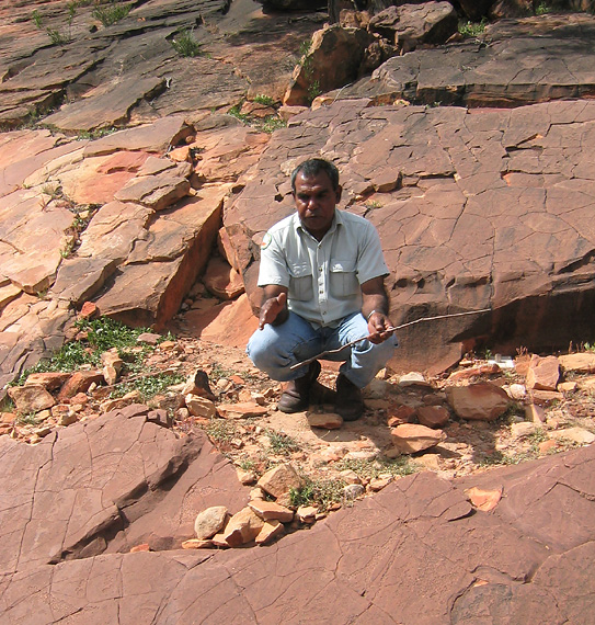 d0806.jpg