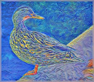 Duckie- Brushed Relief -