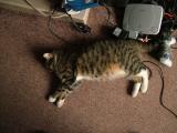 Just cant be bothered with the play station.