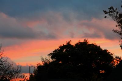Sunset 2 10-29-03.jpg