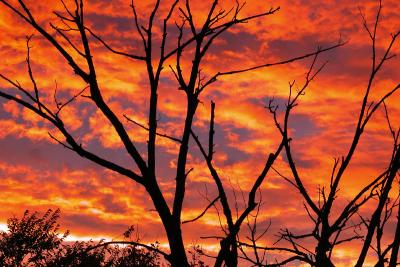 Sunset 5 10-29-03.jpg