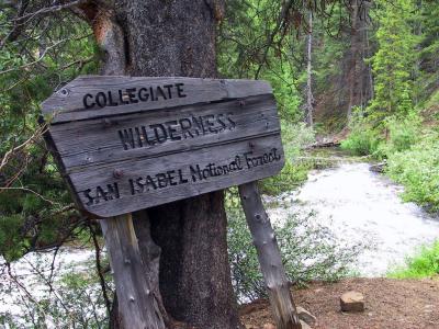 Collegiate Peaks Wilderness, CO, July 2004