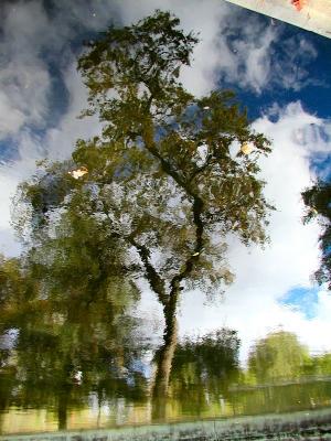 Reflection