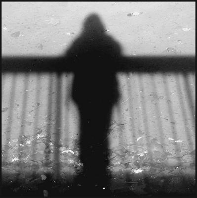Shadows