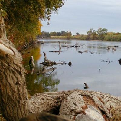 11/16/2003 Sacramento River