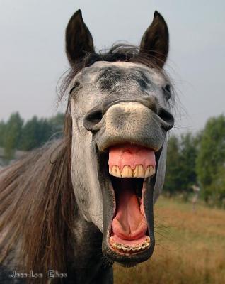 Laughy friend