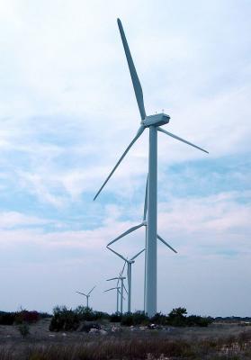 Trent Mesa Wind Farm
