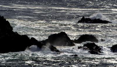 Point Lobos-3
