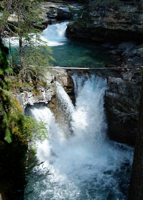 DSC_7917.jpg
